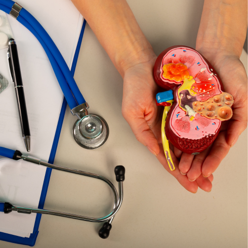 Renal High Dependency Unit (HDU) at HDNA Aarogyam Hospital